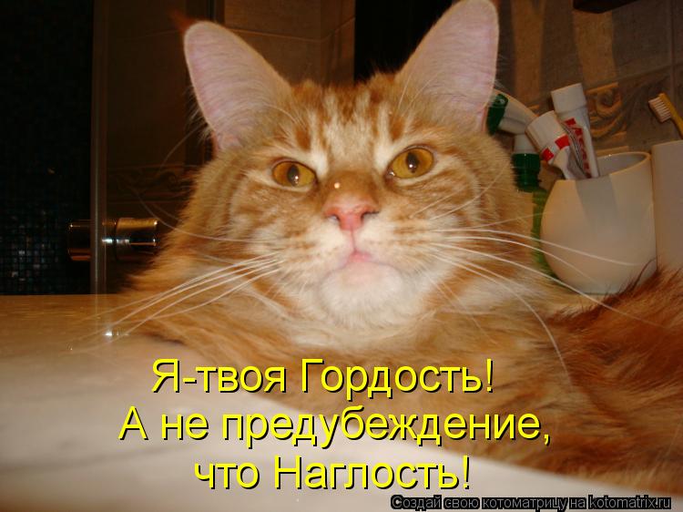 Я-твоя Гордость! А не предубеждение, что Наглость!... Котоматрица: Я-твоя Гордость! А не предубеждение, что Наглость!
