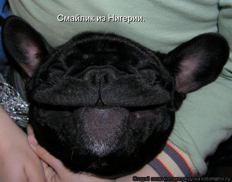 Смайлик из Нигерии.... Котоматрица: Смайлик из Нигерии.