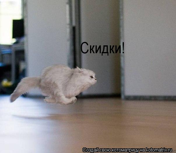 Скидки!... Котоматрица: Скидки!