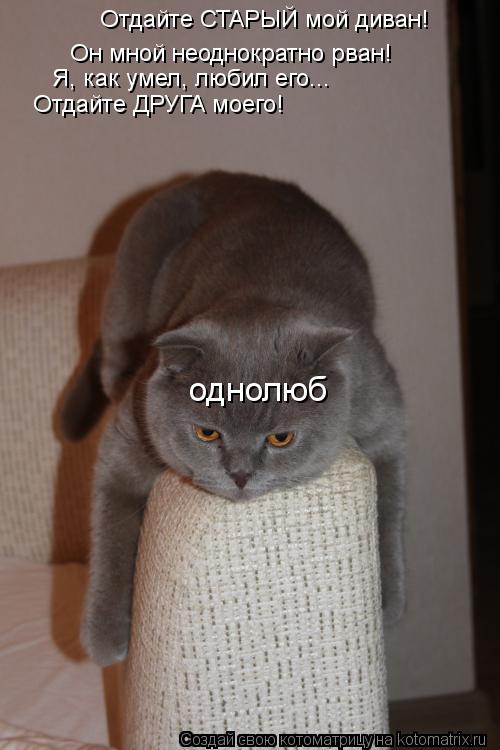 Он мной неоднократно рван! Я, как умел, любил его... Отдайте ДРУГА моего! Отдайте СТАРЫЙ мой диван! о... Котоматрица: Он мной неоднократно рван! Я, как умел, любил его... Отдайте ДРУГА моего! Отдайте СТАРЫЙ мой диван! однолюб