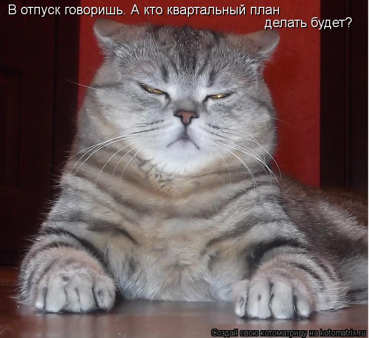 В отпуск говоришь. А кто квартальный план делать будет?... Котоматрица: В отпуск говоришь. А кто квартальный план делать будет?