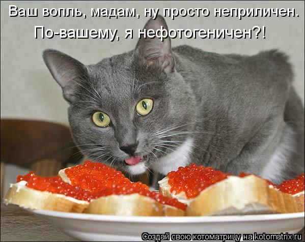 Ваш вопль, мадам, ну просто неприличен. По-вашему, я нефотогеничен?!... Котоматрица: Ваш вопль, мадам, ну просто неприличен. По-вашему, я нефотогеничен?!