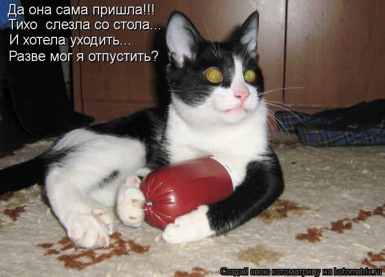 И хотела уходить... Разве мог я отпустить? Тихо слезла со стола... Да она сама пришла!!!... Котоматрица: И хотела уходить... Разве мог я отпустить? Тихо слезла со стола... Да она сама пришла!!!