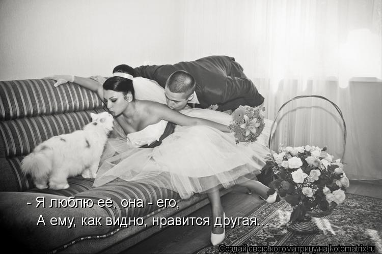 - Я люблю её, она - его, А ему, как видно, нравится другая...... Котоматрица: - Я люблю её, она - его, А ему, как видно, нравится другая...