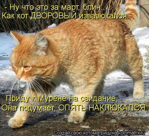 - Ну что это за март, блин... Как кот ДВОРОВЫЙ извазюкался... Приду к Мурёне на свидание, Она подума... Котоматрица: - Ну что это за март, блин... Как кот ДВОРОВЫЙ извазюкался... Приду к Мурёне на свидание, Она подумает, ОПЯТЬ НАКЛЮКАЛСЯ...