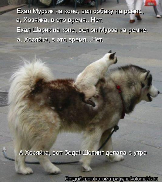 Ехал Мурзик на коне, вел собаку на ремне, а, Хозяйка, в это время...Нет. Ехал Шарик на коне, вел он М... Котоматрица: Ехал Мурзик на коне, вел собаку на ремне, а, Хозяйка, в это время...Нет. Ехал Шарик на коне, вел он Мурза на ремне, а, Хозяйка, в это время...Нет. А,