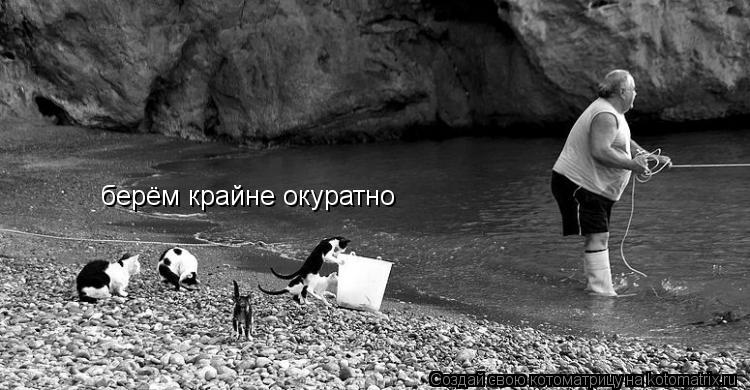 берём крайне окуратно берём крайне окуратно... Котоматрица: берём крайне окуратно берём крайне окуратно