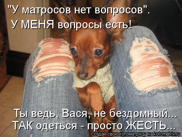 "У матросов нет вопросов". У МЕНЯ вопросы есть! Ты ведь, Вася, не бездомный... ТАК одеться - просто ... Котоматрица: "У матросов нет вопросов". У МЕНЯ вопросы есть! Ты ведь, Вася, не бездомный... ТАК одеться - просто ЖЕСТЬ...