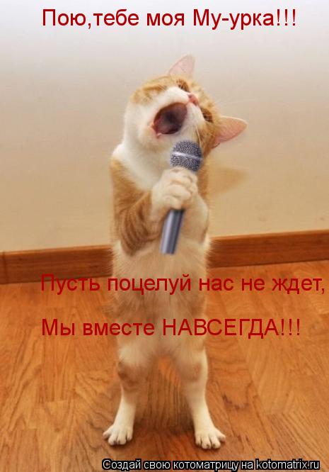 Пою,тебе моя Му-урка!!! Пою,тебе моя Му-урка!!! Пусть поцелуй нас не ждет, Мы вместе НАВСЕГДА!!! Мы в... Котоматрица: Пою,тебе моя Му-урка!!! Пою,тебе моя Му-урка!!! Пусть поцелуй нас не ждет, Мы вместе НАВСЕГДА!!! Мы вместе НАВСЕГДА!!!
