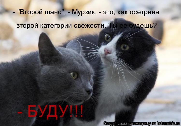- "Второй шанс", - Мурзик, - это, как осетрина второй категории свежести. Ты ее будешь? - БУДУ!!!... Котоматрица: - "Второй шанс", - Мурзик, - это, как осетрина второй категории свежести. Ты ее будешь? - БУДУ!!!