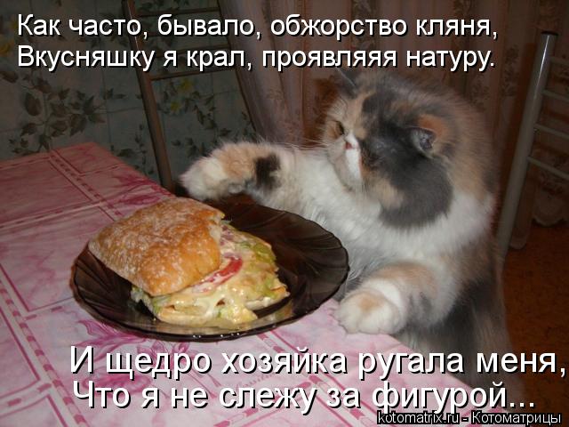 Как часто, бывало, обжорство кляня, Что я не слежу за фигурой... И щедро хозяйка ругала меня, Вкусн... Котоматрица: Как часто, бывало, обжорство кляня, Что я не слежу за фигурой... И щедро хозяйка ругала меня, Вкусняшку я крал, проявляяя натуру.