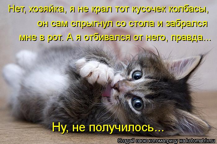 Нет, хозяйка, я не крал тот кусочек колбасы, он сам спрыгнул со стола и забрался мне в рот. А я отб... Котоматрица: Нет, хозяйка, я не крал тот кусочек колбасы, он сам спрыгнул со стола и забрался мне в рот. А я отбивался от него, правда... Ну, не получилось...