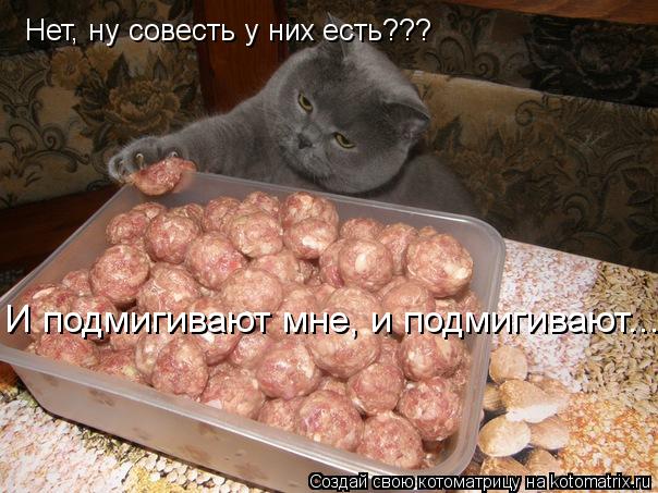 Нет, ну совесть у них есть??? И подмигивают мне, и подмигивают...... Котоматрица: Нет, ну совесть у них есть??? И подмигивают мне, и подмигивают...