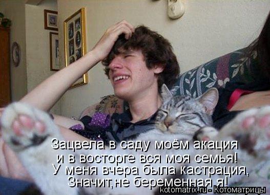 Зацвела в саду моём акация и в восторге вся моя семья! У меня вчера была кастрация, Значит,не беремен... Котоматрица: Зацвела в саду моём акация и в восторге вся моя семья! У меня вчера была кастрация, Значит,не беременная я!