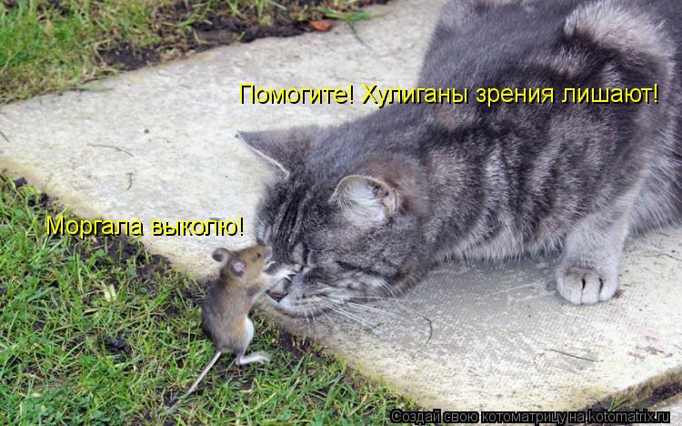 Моргала выколю! Помогите! Хулиганы зрения лишают!... Котоматрица: Моргала выколю! Помогите! Хулиганы зрения лишают!