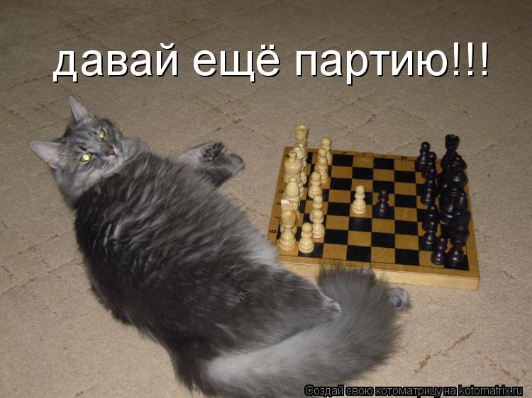 давай ещё партию!!!... Котоматрица: давай ещё партию!!!