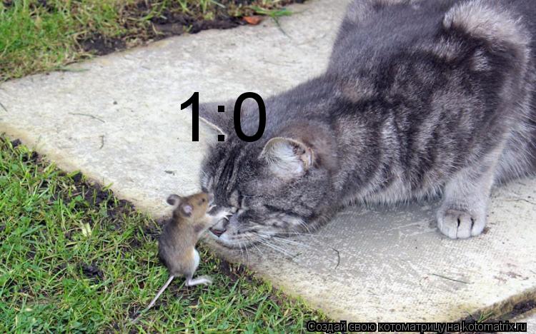 1:0... Котоматрица: 1:0