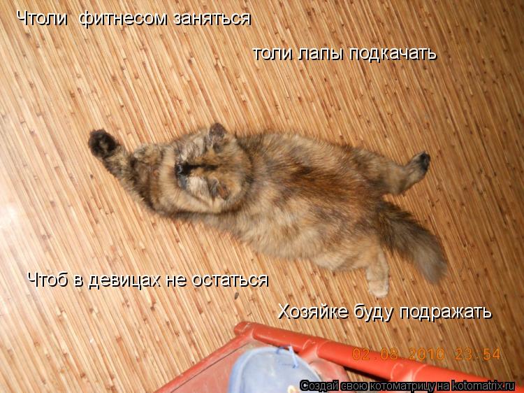 Чтоли фитнесом заняться толи лапы подкачать Чтоб в девицах не остаться Хозяйке буду подражать... Котоматрица: Чтоли фитнесом заняться толи лапы подкачать Чтоб в девицах не остаться Хозяйке буду подражать