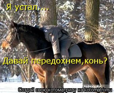 Я устал.... Давай передохнем,конь?... Котоматрица: Я устал.... Давай передохнем,конь?