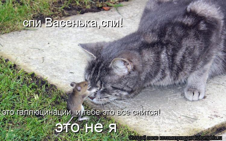 спи Васенька,спи! это галлюцинации, и тебе это всё снится! это не я... Котоматрица: спи Васенька,спи! это галлюцинации, и тебе это всё снится! это не я