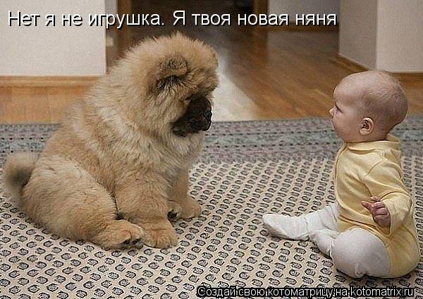 Нет я не игрушка. Я твоя новая няня... Котоматрица: Нет я не игрушка. Я твоя новая няня