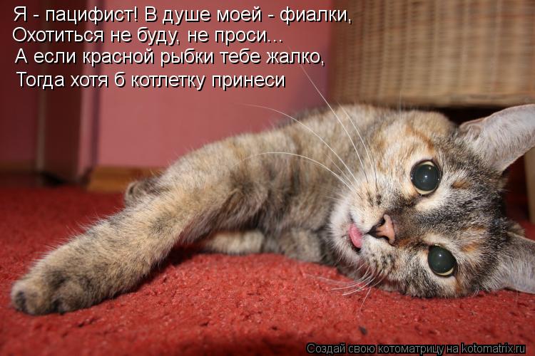 Я - пацифист! В душе моей - фиалки, Охотиться не буду, не проси... А если красной рыбки тебе жалко, Т... Котоматрица: Я - пацифист! В душе моей - фиалки, Охотиться не буду, не проси... А если красной рыбки тебе жалко, Тогда хотя б котлетку принеси