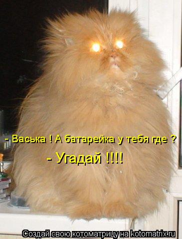 - Васька ! А батарейка у тебя где ? - Угадай !!!!... Котоматрица: - Васька ! А батарейка у тебя где ? - Угадай !!!!