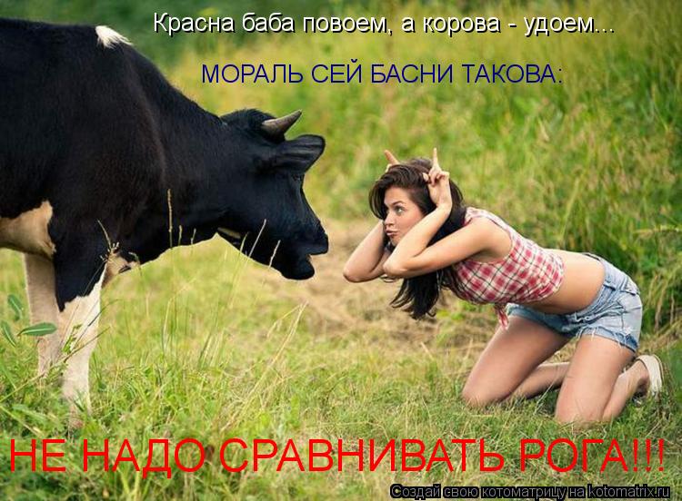 Красна баба повоем, а корова - удоем... МОРАЛЬ СЕЙ БАСНИ ТАКОВА: НЕ НАДО СРАВНИВАТЬ РОГА!!!... Котоматрица: Красна баба повоем, а корова - удоем... МОРАЛЬ СЕЙ БАСНИ ТАКОВА: НЕ НАДО СРАВНИВАТЬ РОГА!!!