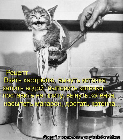 Рецепт: Взять кастрюлю, вынуть котенка, залить водой, выловить котенка, насыпать макарон, достать кот... Котоматрица: Рецепт: Взять кастрюлю, вынуть котенка, залить водой, выловить котенка, насыпать макарон, достать котенка... поставить на плиту, вынуть котен