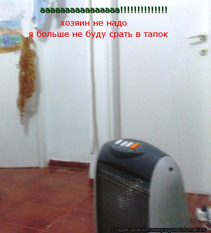 аааааааааааааааа!!!!!!!!!!!!!! хозяин не надо я больше не буду срать в тапок... Котоматрица: аааааааааааааааа!!!!!!!!!!!!!! хозяин не надо я больше не буду срать в тапок