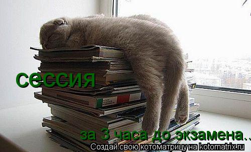 сессия за 3 часа до экзамена...... Котоматрица: сессия за 3 часа до экзамена...