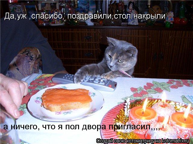Да,уж ,спасибо, поздравили,стол накрыли а ничего, что я пол двора пригласил,,,,... Котоматрица: Да,уж ,спасибо, поздравили,стол накрыли а ничего, что я пол двора пригласил,,,,