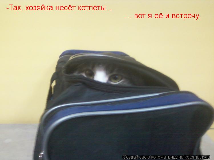 -Так, хозяйка несёт котлеты... ... вот я её и встречу.... Котоматрица: -Так, хозяйка несёт котлеты... ... вот я её и встречу.