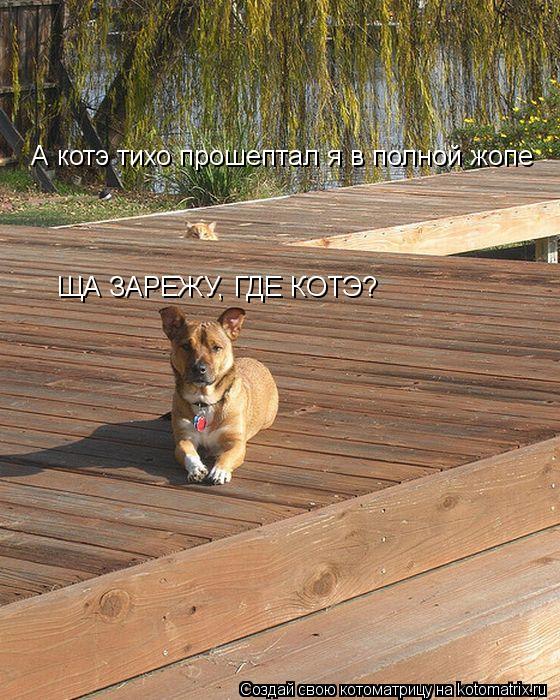 ЩА ЗАРЕЖУ, ГДЕ КОТЭ? А котэ тихо прошептал я в полной жопе... Котоматрица: ЩА ЗАРЕЖУ, ГДЕ КОТЭ? А котэ тихо прошептал я в полной жопе