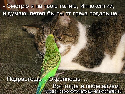 - Смотрю я на твою талию, Иннокентий, и думаю: летел бы ты от греха подальше.... Подрастешь... Окреп... Котоматрица: - Смотрю я на твою талию, Иннокентий, и думаю: летел бы ты от греха подальше.... Подрастешь... Окрепнешь.... Вот тогда и побеседуем...