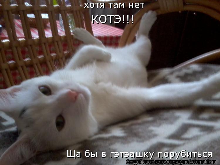 Ща бы в гэтэашку порубиться хотя там нет КОТЭ!!!... Котоматрица: Ща бы в гэтэашку порубиться хотя там нет КОТЭ!!!