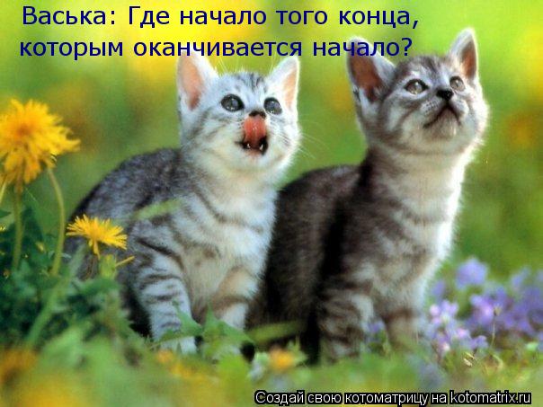 Васька: Где начало того конца, которым оканчивается начало?... Котоматрица: Васька: Где начало того конца, которым оканчивается начало?