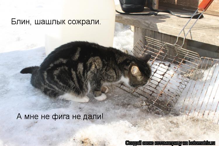Котоматрица: Блин, шашлык сожрали.  А мне не фига не дали!