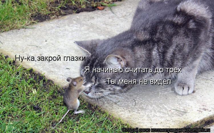 Ну-ка,закрой глазки -Я начинаю считать до трёх -Ты меня не видел... Котоматрица: Ну-ка,закрой глазки -Я начинаю считать до трёх -Ты меня не видел