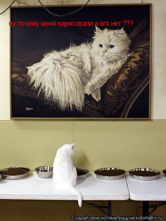 ну почему меня нарисовали а его нет ???... Котоматрица: ну почему меня нарисовали а его нет ???