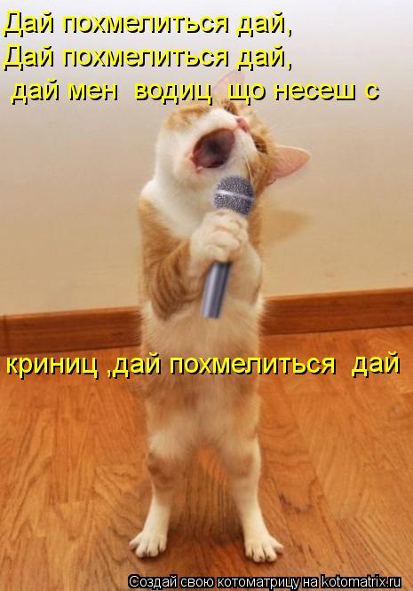 Дай похмелиться дай, Дай похмелиться дай, дай мені водиці що несеш с криниці,дай похмелиться дай... Котоматрица: Дай похмелиться дай, Дай похмелиться дай, дай мені водиці що несеш с криниці,дай похмелиться дай