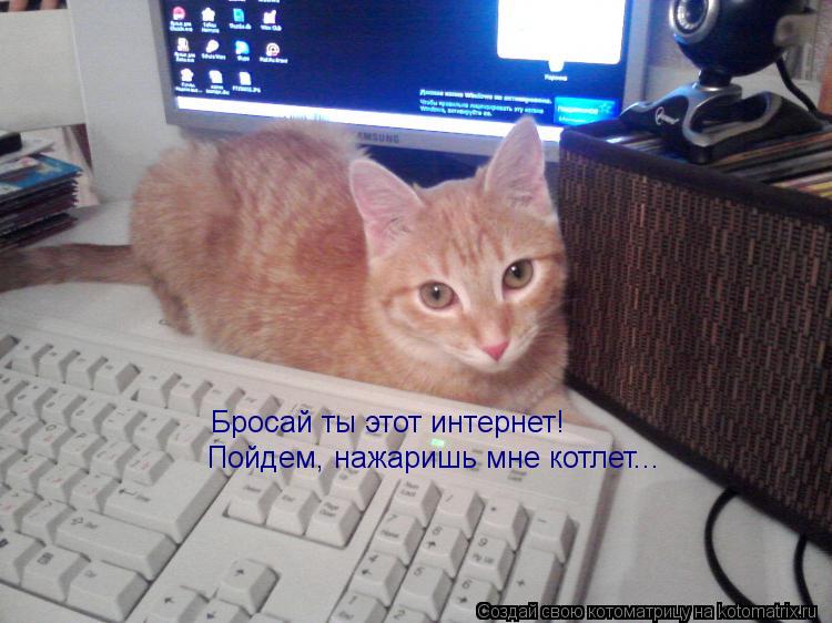 Бросай ты этот интернет! Пойдем, нажаришь мне котлет...... Котоматрица: Бросай ты этот интернет! Пойдем, нажаришь мне котлет...