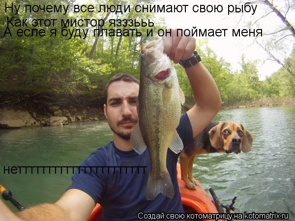 Ну почему все люди снимают свою рыбу Как этот мистор язззььь А есле я буду плавать и он поймает меня... Котоматрица: Ну почему все люди снимают свою рыбу Как этот мистор язззььь А есле я буду плавать и он поймает меня нетттттттттттттттттттттт