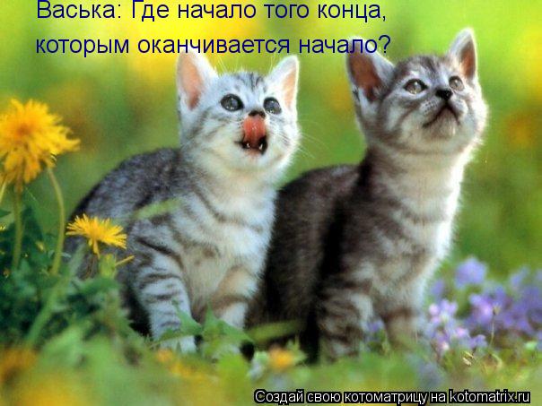 Васька: Где начало того конца, которым оканчивается начало?... Котоматрица: Васька: Где начало того конца, которым оканчивается начало?