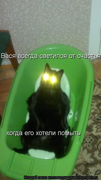 Вася всегда светился от счастья когда его хотели помыть... Котоматрица: Вася всегда светился от счастья когда его хотели помыть