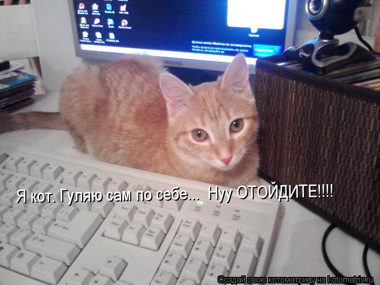 Я кот. Гуляю сам по себе... Нуу ОТОЙДИТЕ!!!!... Котоматрица: Я кот. Гуляю сам по себе... Нуу ОТОЙДИТЕ!!!!