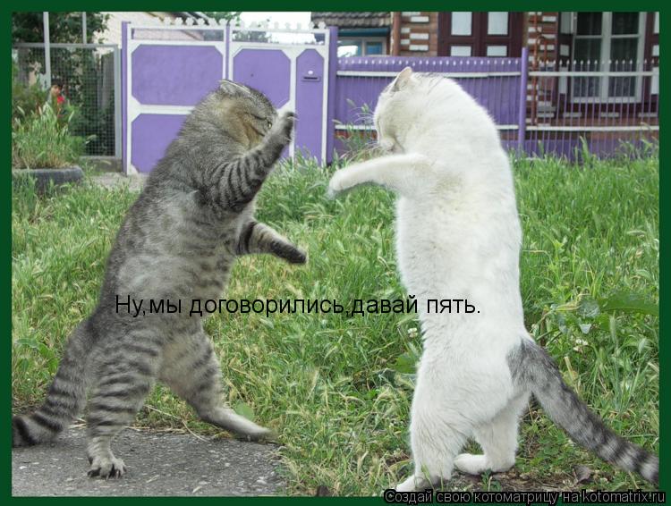 Ну,мы договорились,давай пять.... Котоматрица: Ну,мы договорились,давай пять.