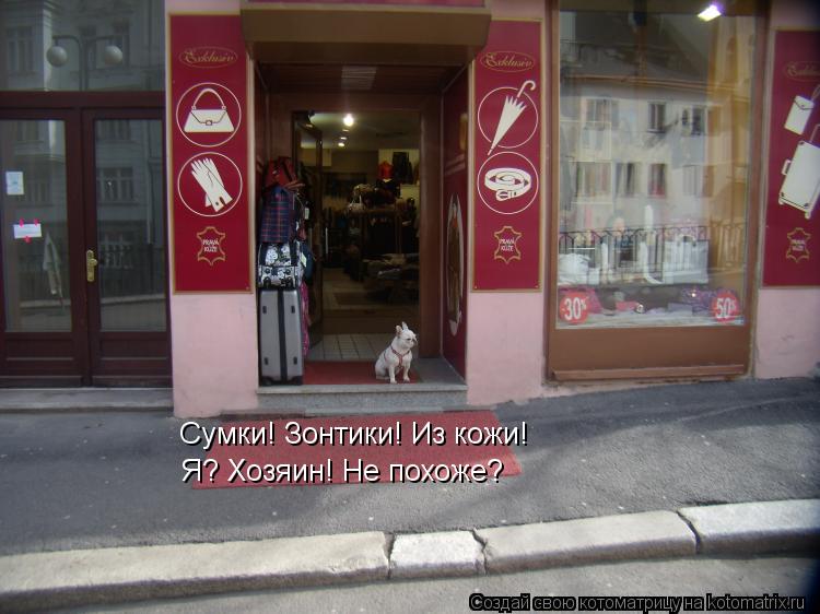 Сумки! Зонтики! Из кожи! Я? Хозяин! Не похоже?... Котоматрица: Сумки! Зонтики! Из кожи! Я? Хозяин! Не похоже?