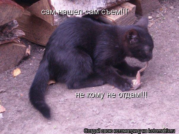 не кому не отдам не кому не отдам!!! сам нашёл сам съем!!!... Котоматрица: не кому не отдам не кому не отдам!!! сам нашёл сам съем!!!