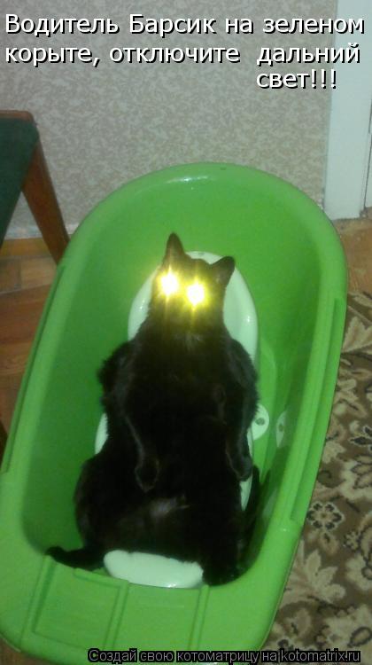 Водитель Барсик на зеленом корыте, отключите дальний свет!!!... Котоматрица: Водитель Барсик на зеленом корыте, отключите дальний свет!!!
